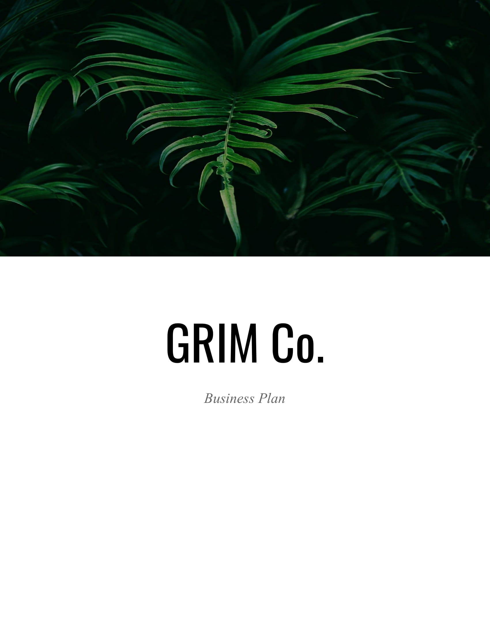 Grim Co Business Plan